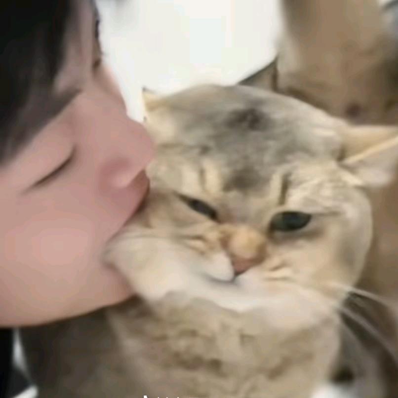 肚饱饱🐾