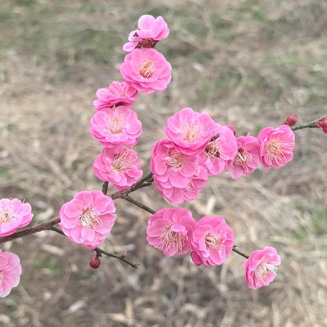 俐姐小号