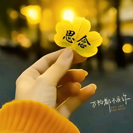 思念（拒微，拒闲聊，拒合拍）