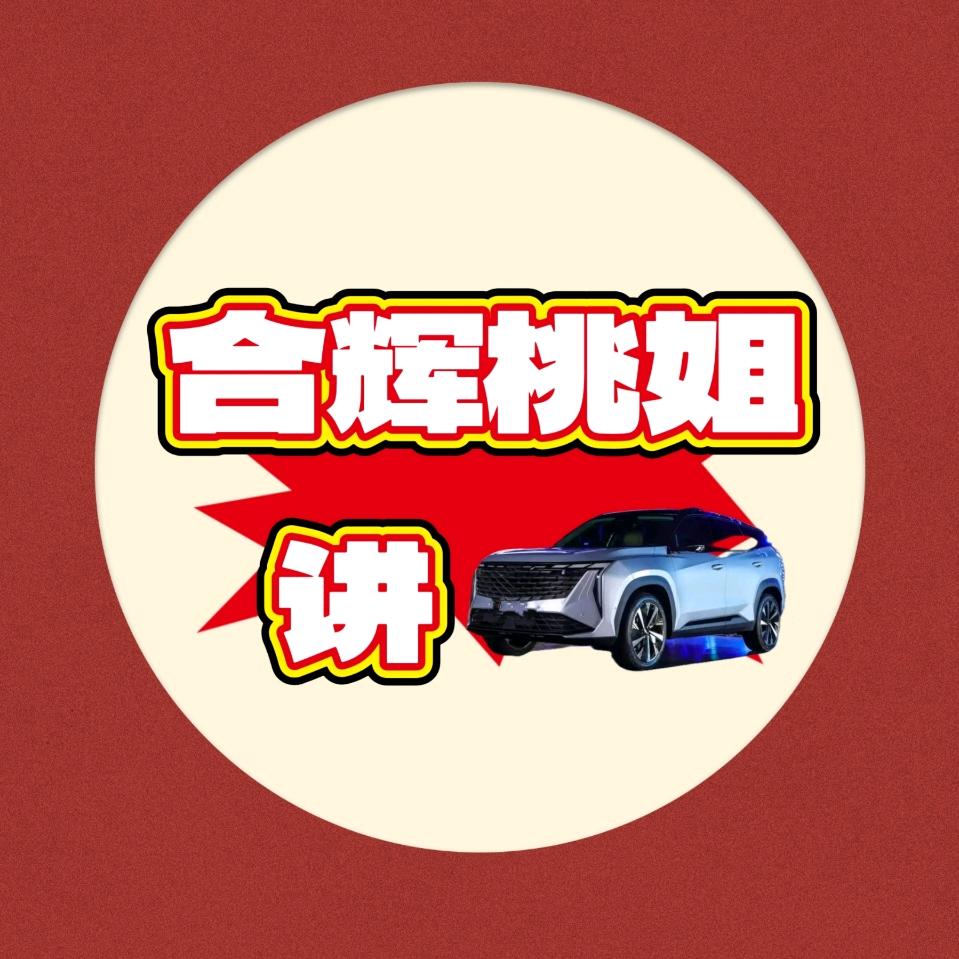 合辉桃姐讲车