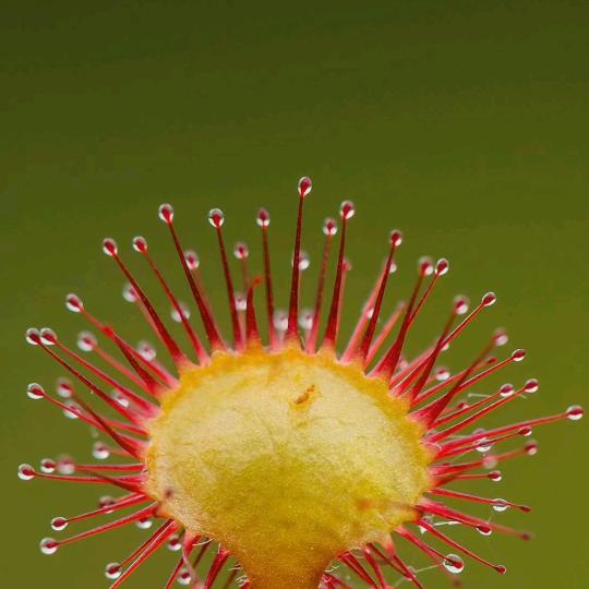 陪你过药考滴小刘刘