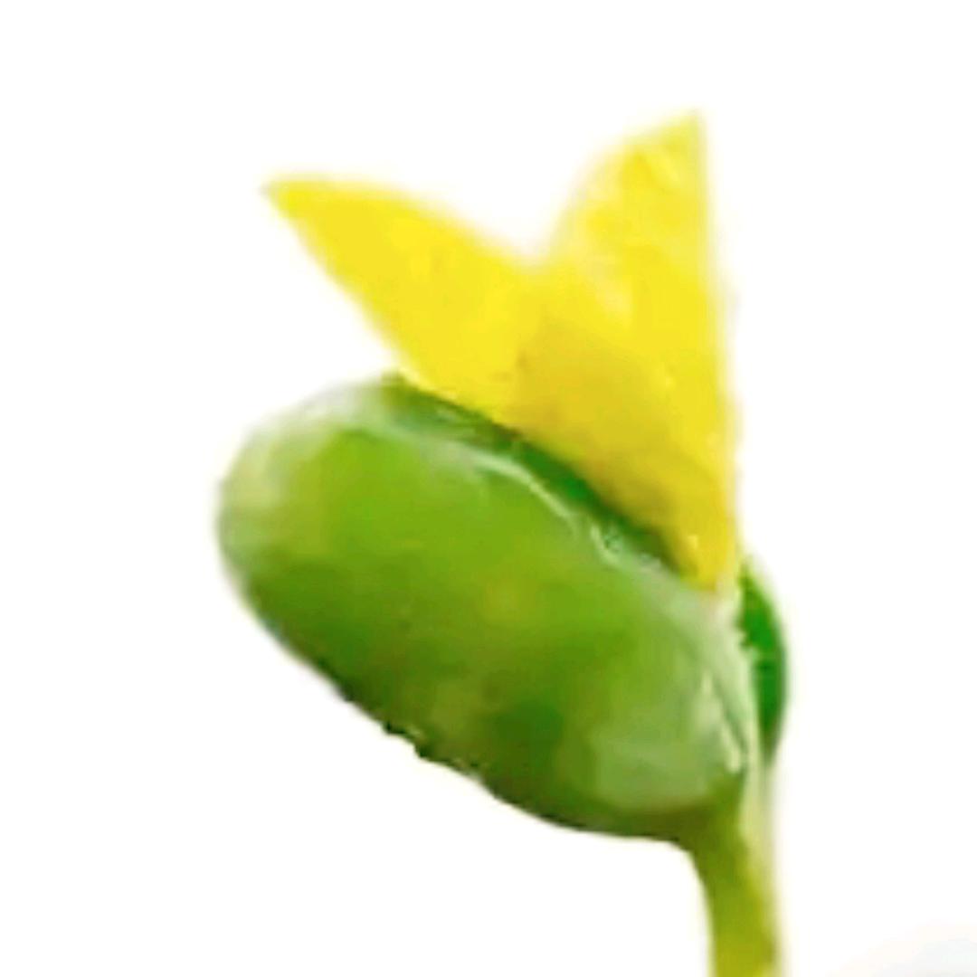 林哥墨趣生活铺