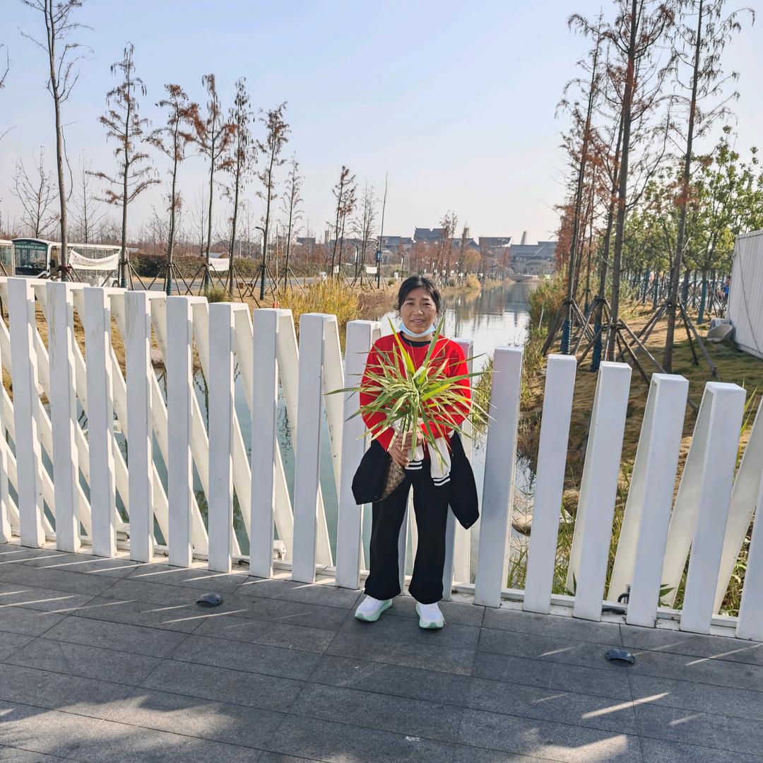 打明