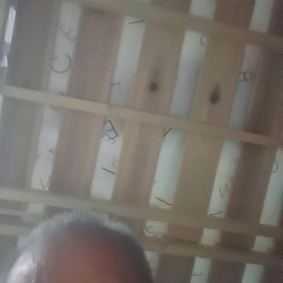 u罗泽明