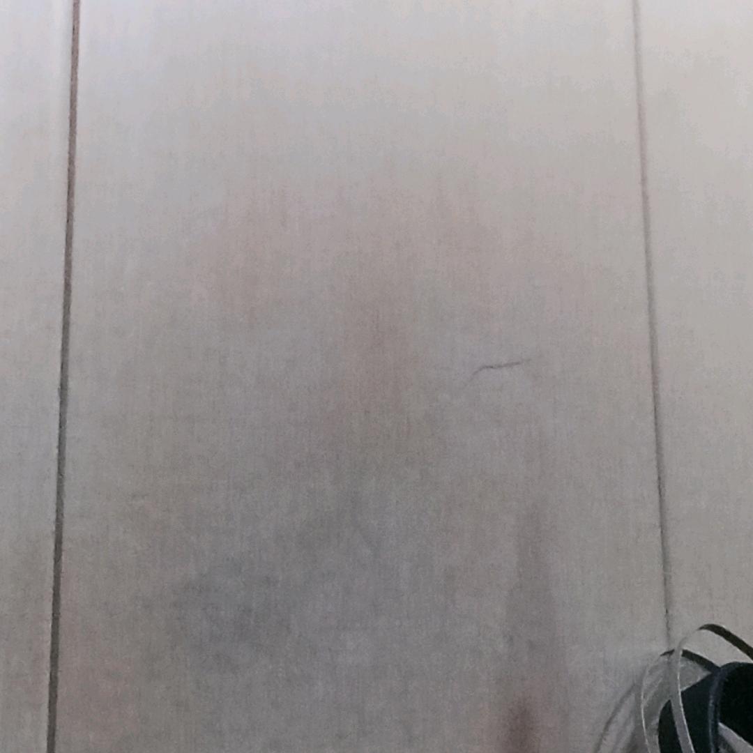十一