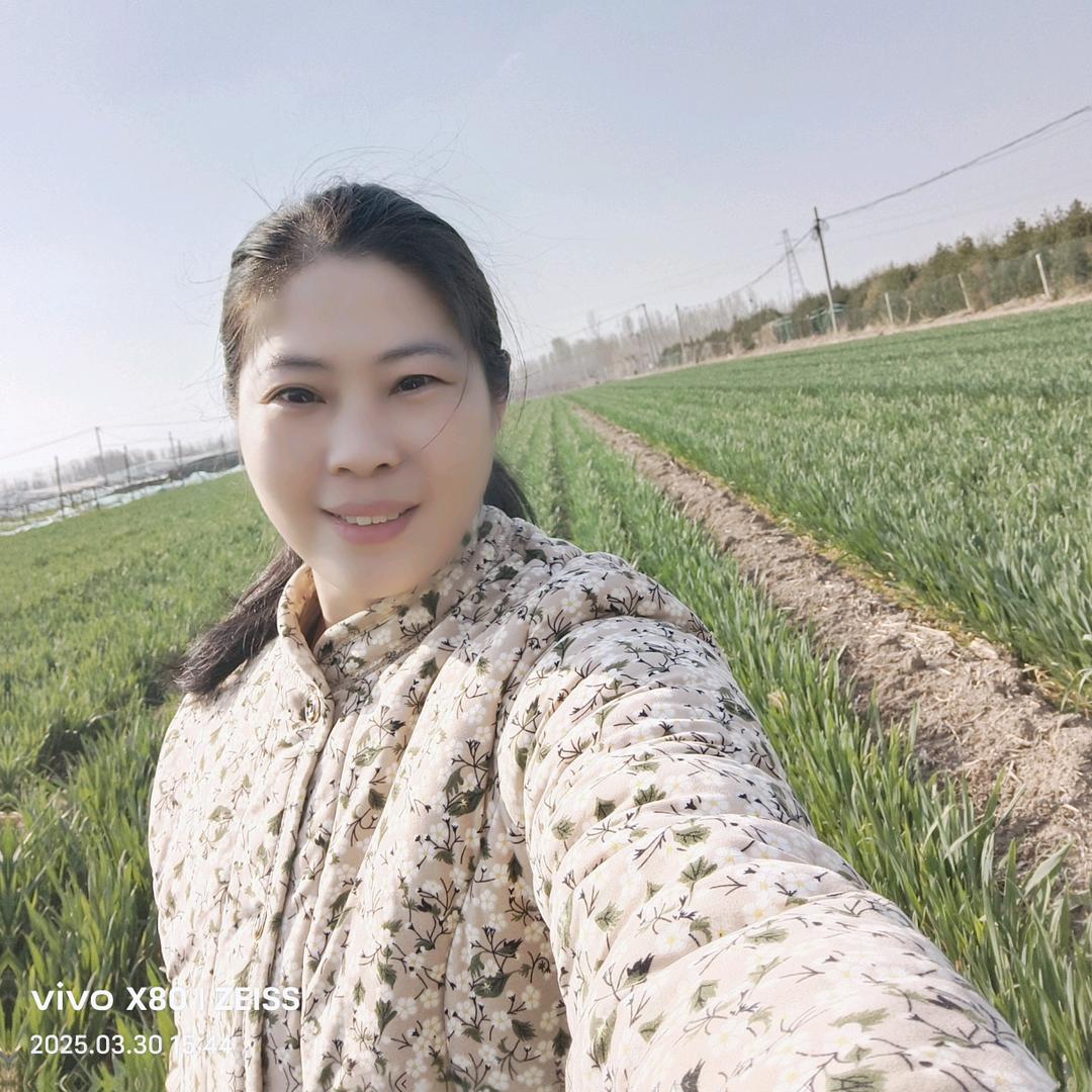 山东小武