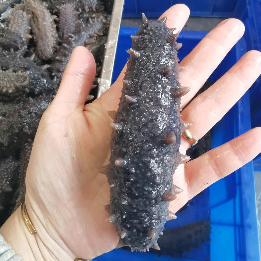 百参坊海参熟食