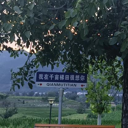 🍒🍑布偶猫🍑🍒