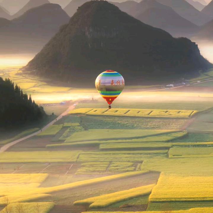 追梦者。逆风独行，人生由我自在独行。