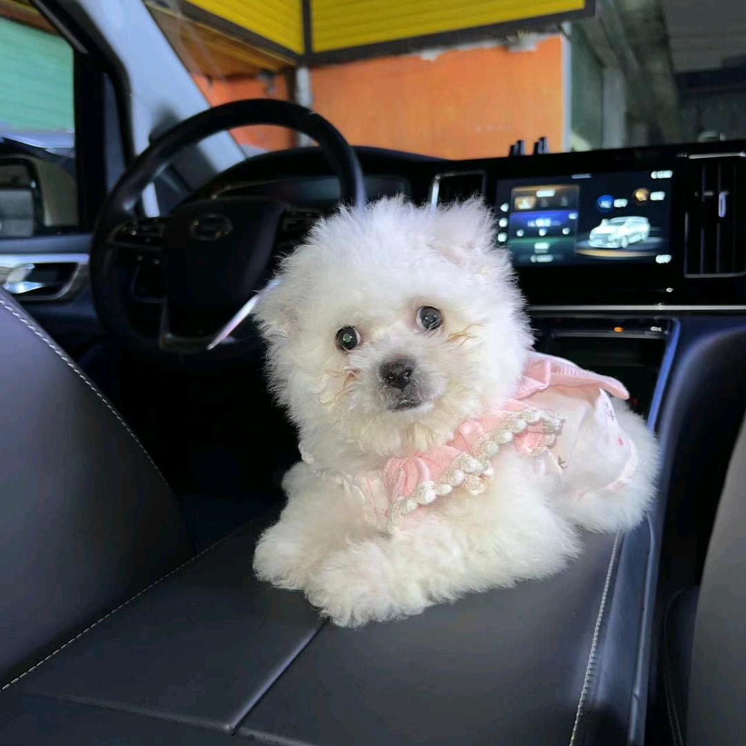 家族一专业做(金:银)广告牌(饮食)