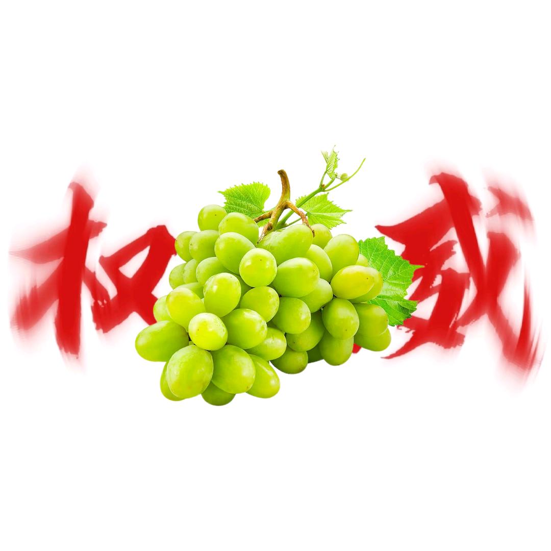 葡萄大王🍇