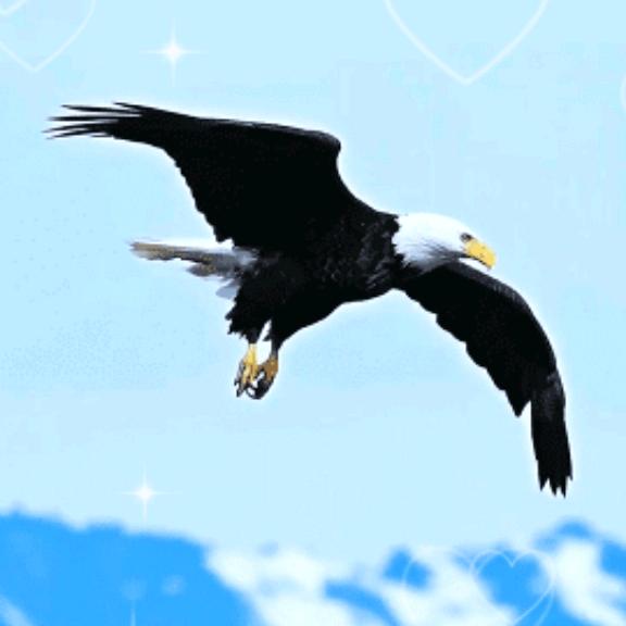 ～媛媛～