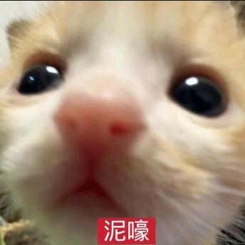 是小吾y
