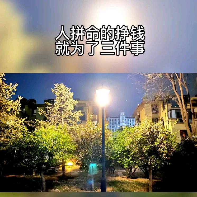 @重庆@张