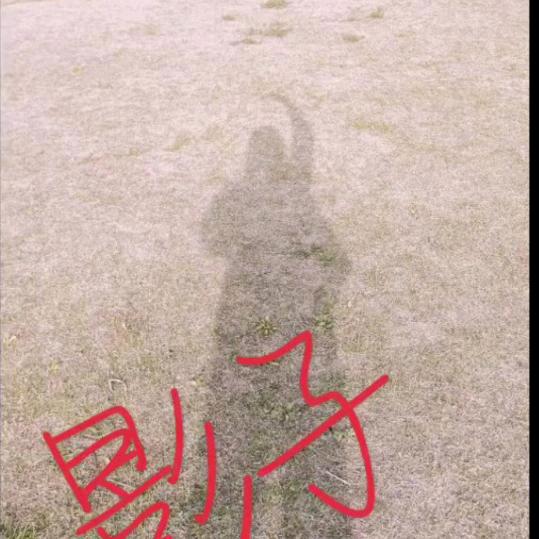 华兮💕影子🇨🇳CXH1121