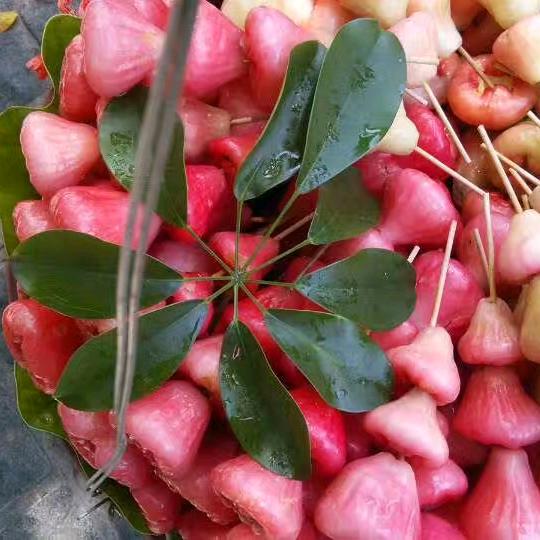 佳境美店好物(有关必回)