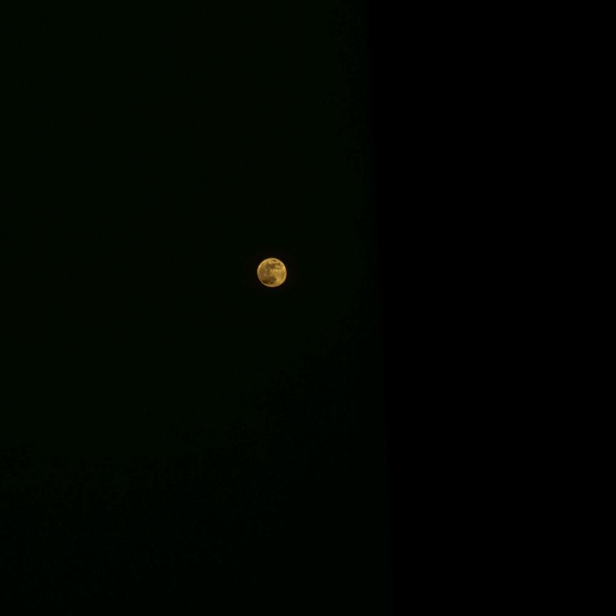 蓝汪汪