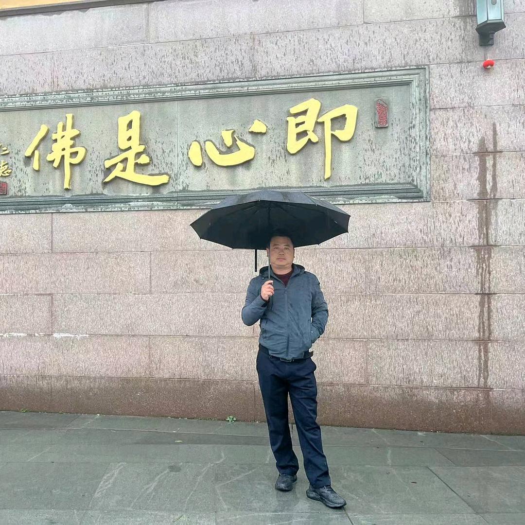 翱翔的鹰