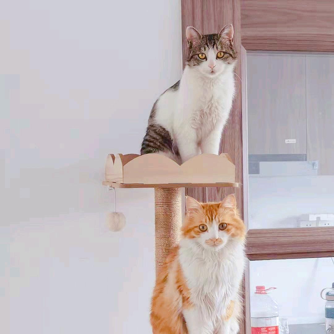 ° 槑