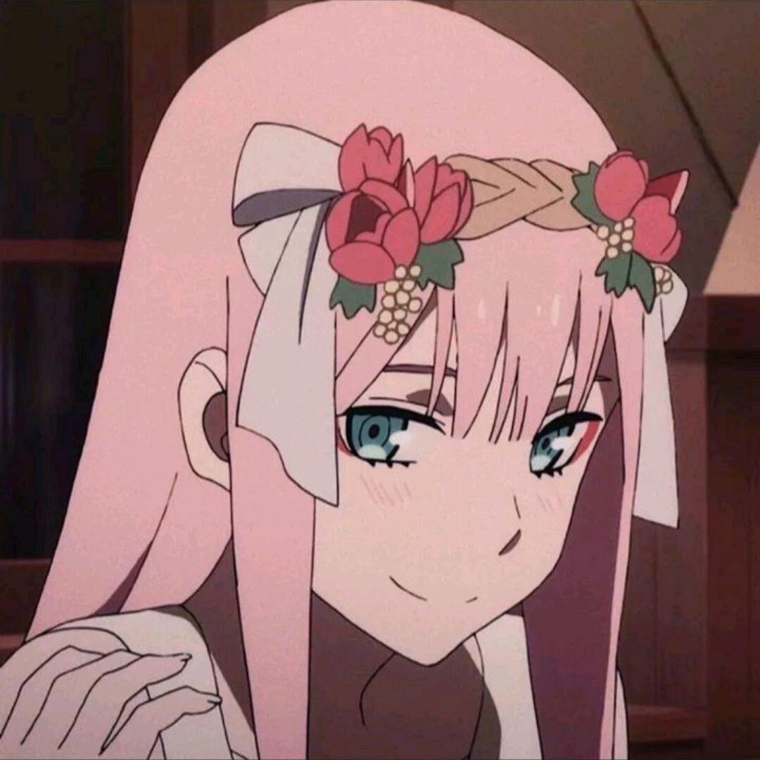 廿三elf
