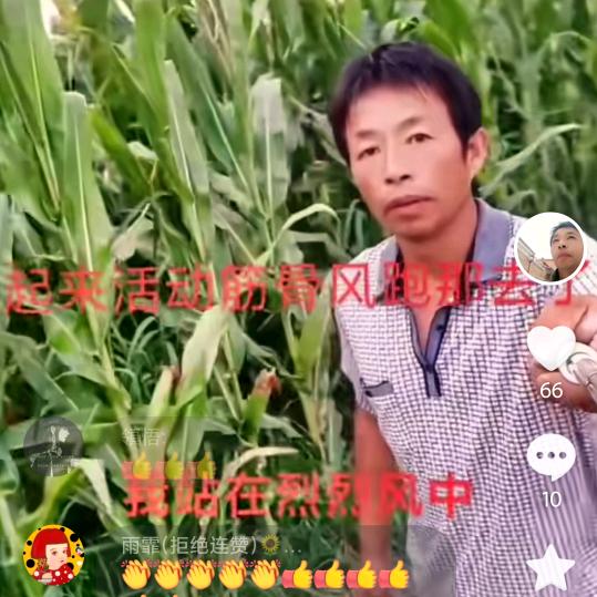 真城zhencheng