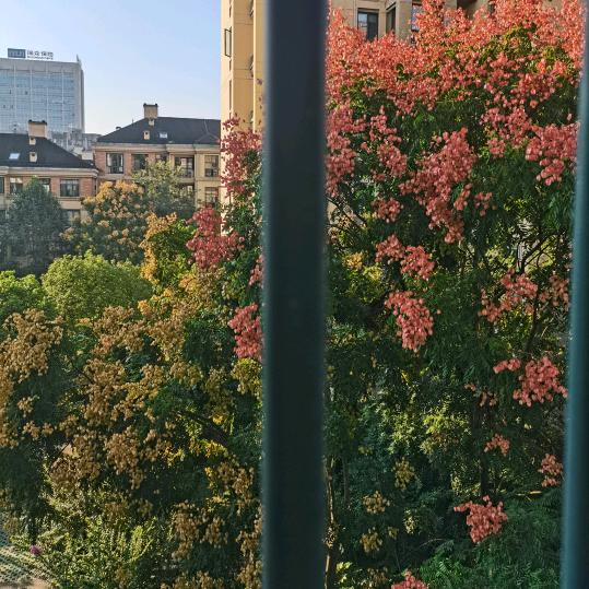 芬芳~