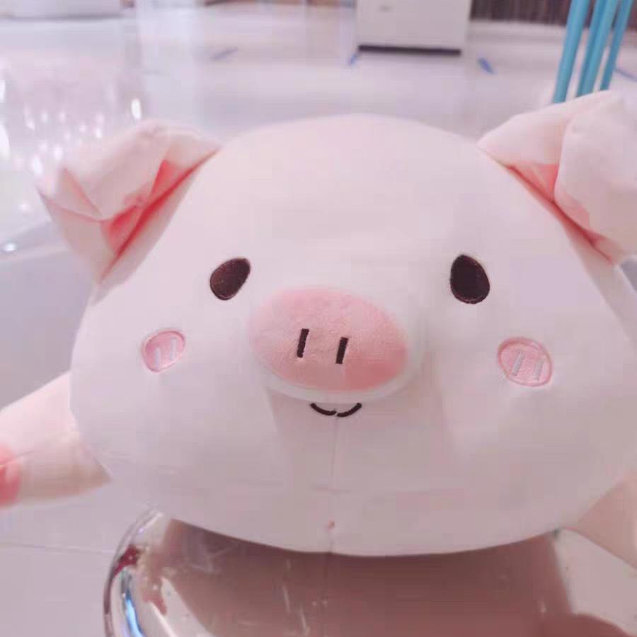 时光叫我别恋它