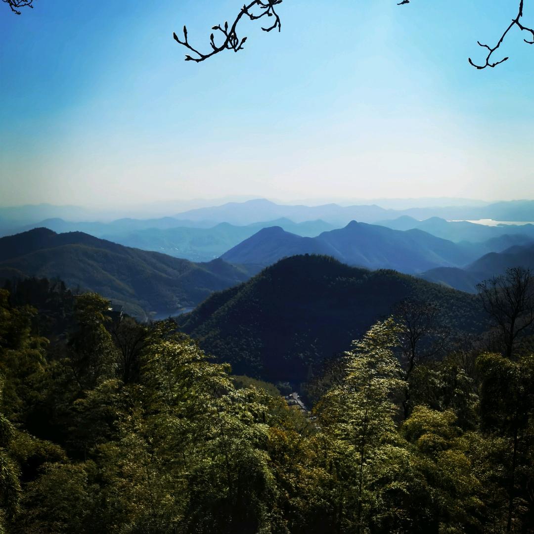 CC李