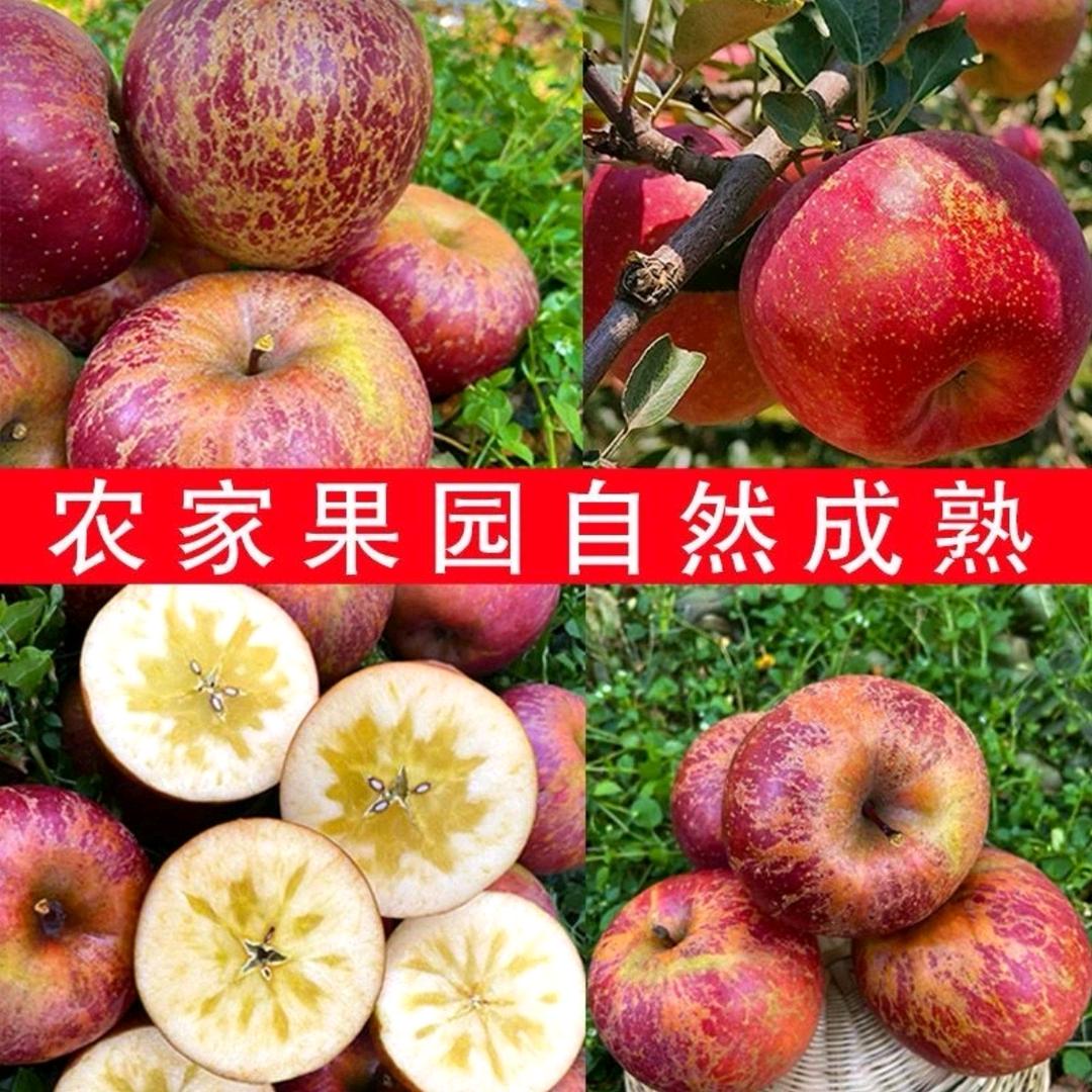 云滇优果