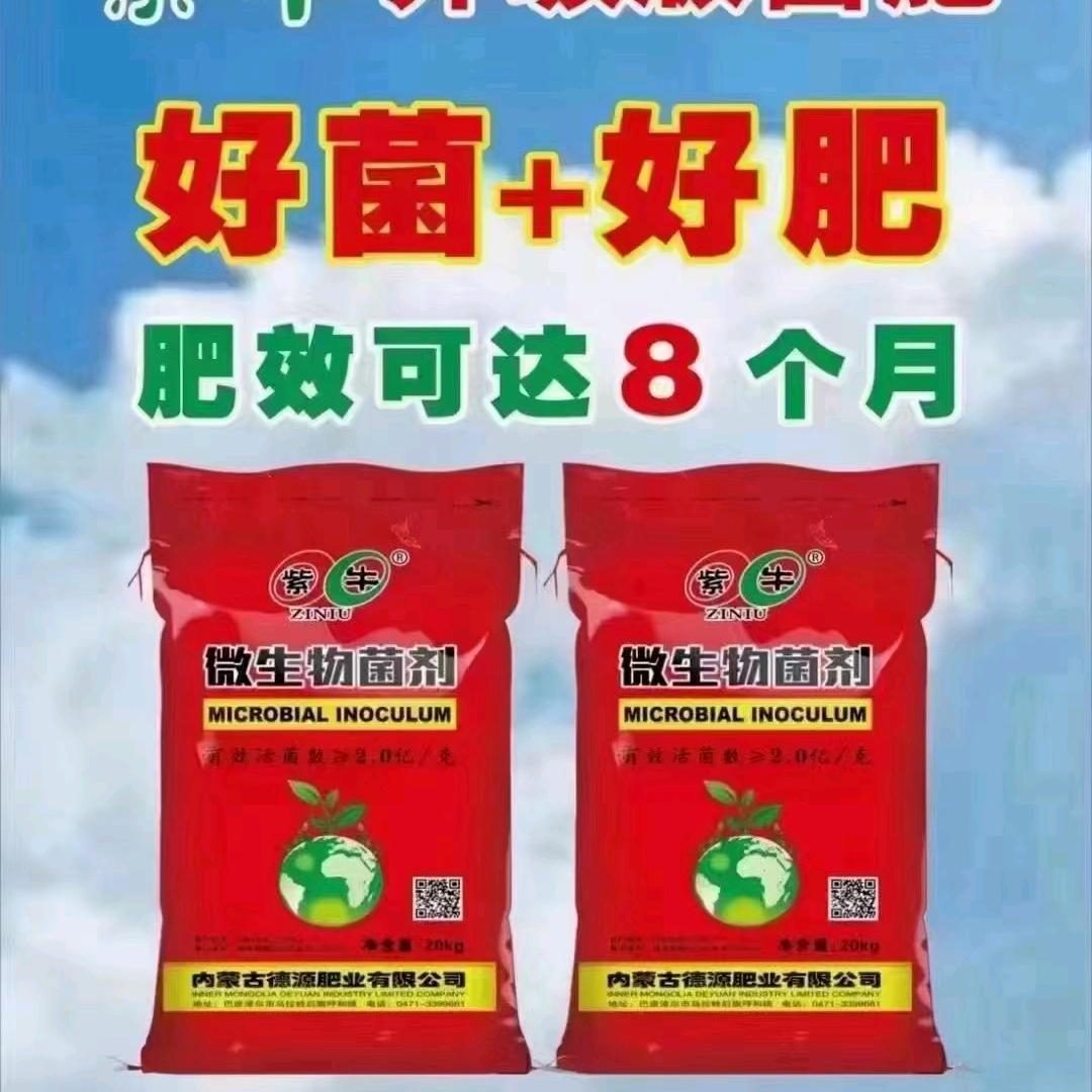 老罗农资  小翠