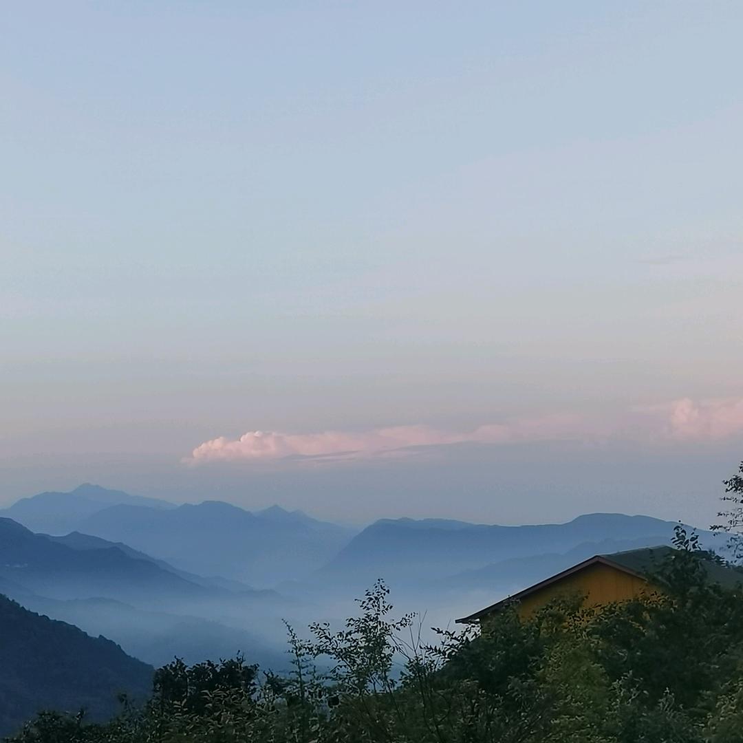 三胖