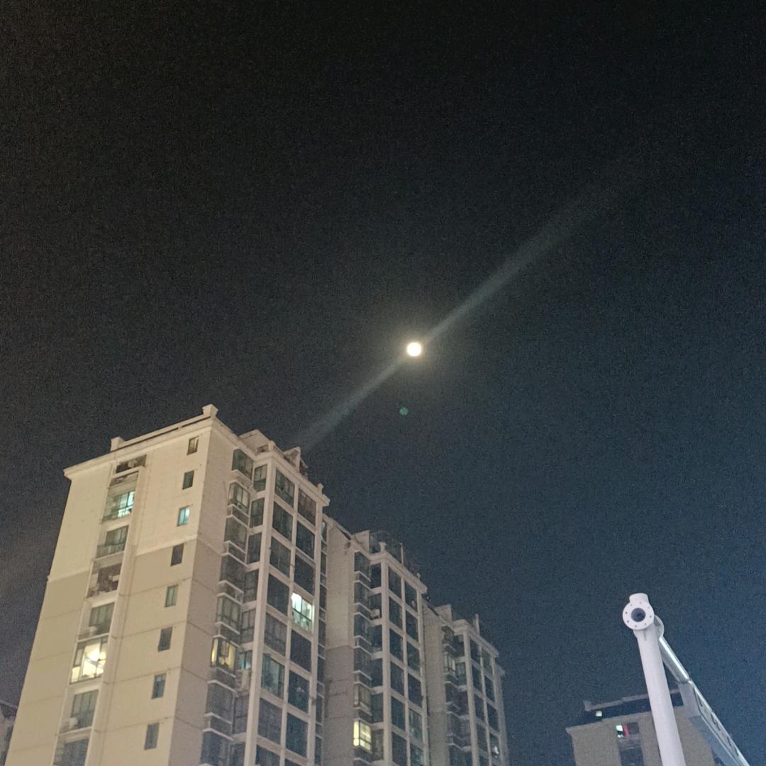 孤傲的王子
