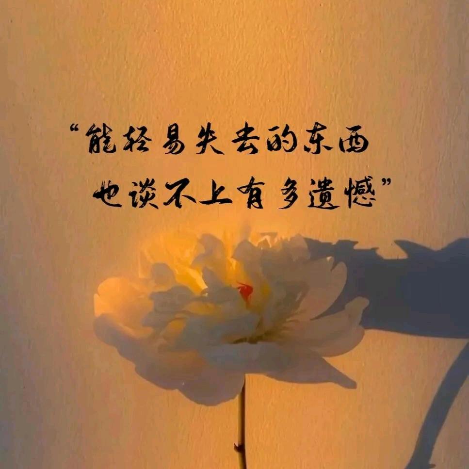 @ﻩ🥀ঞ唐某人₅₂₀💞࿐