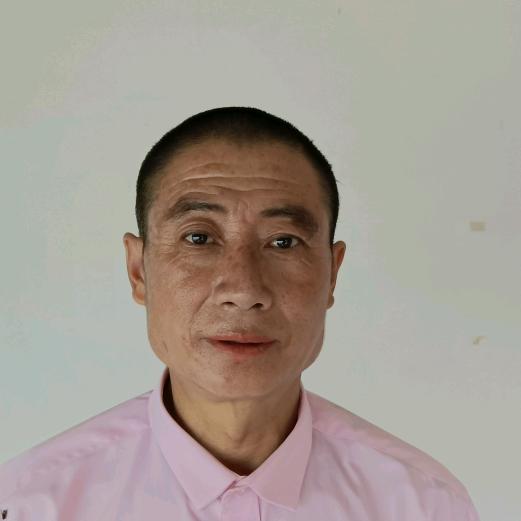 花在春天开
