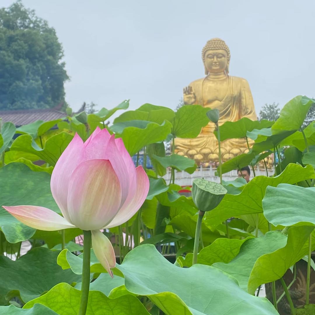 平安喜乐🙏🏼