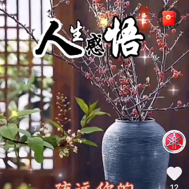 2025年   💪不够狠。