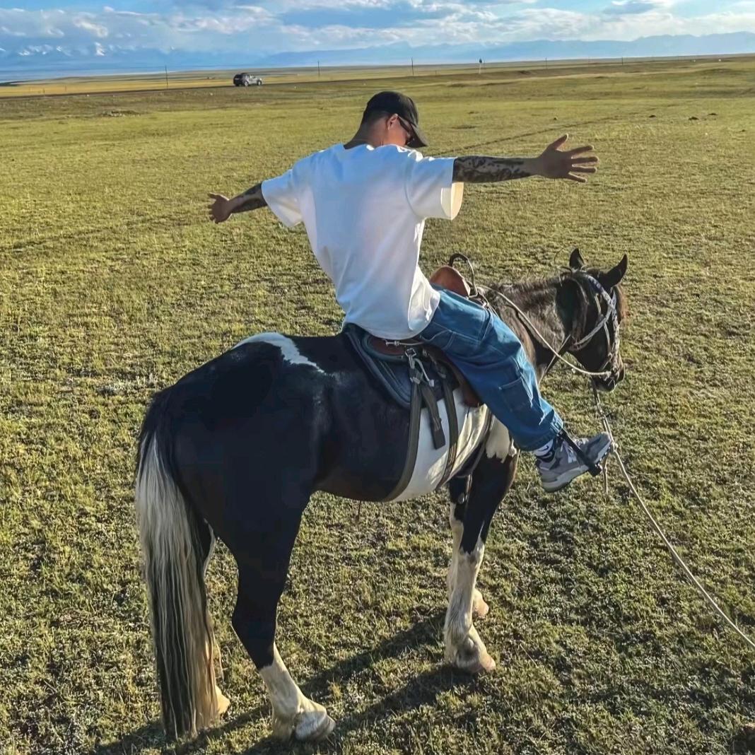 伟哥爱马🐎