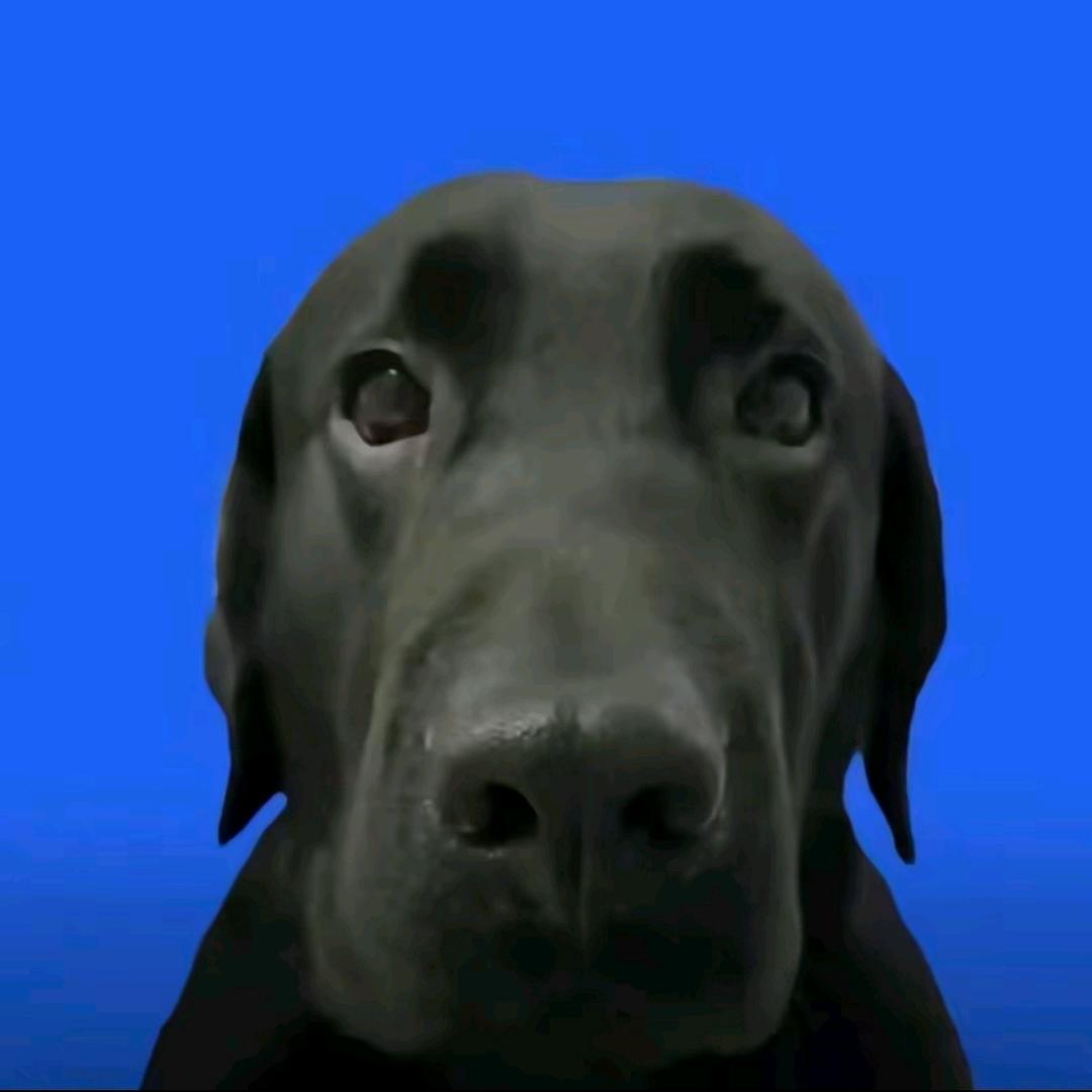 牛牛大王
