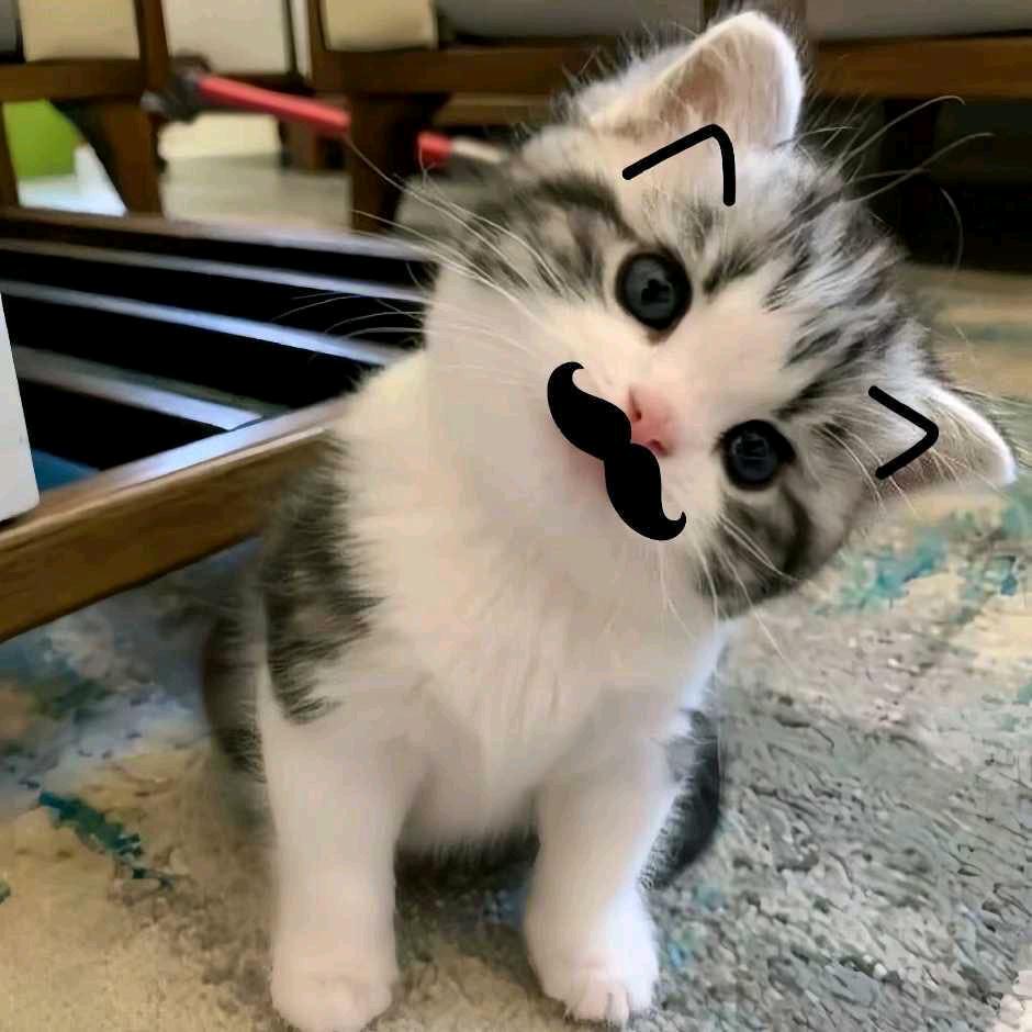 M.