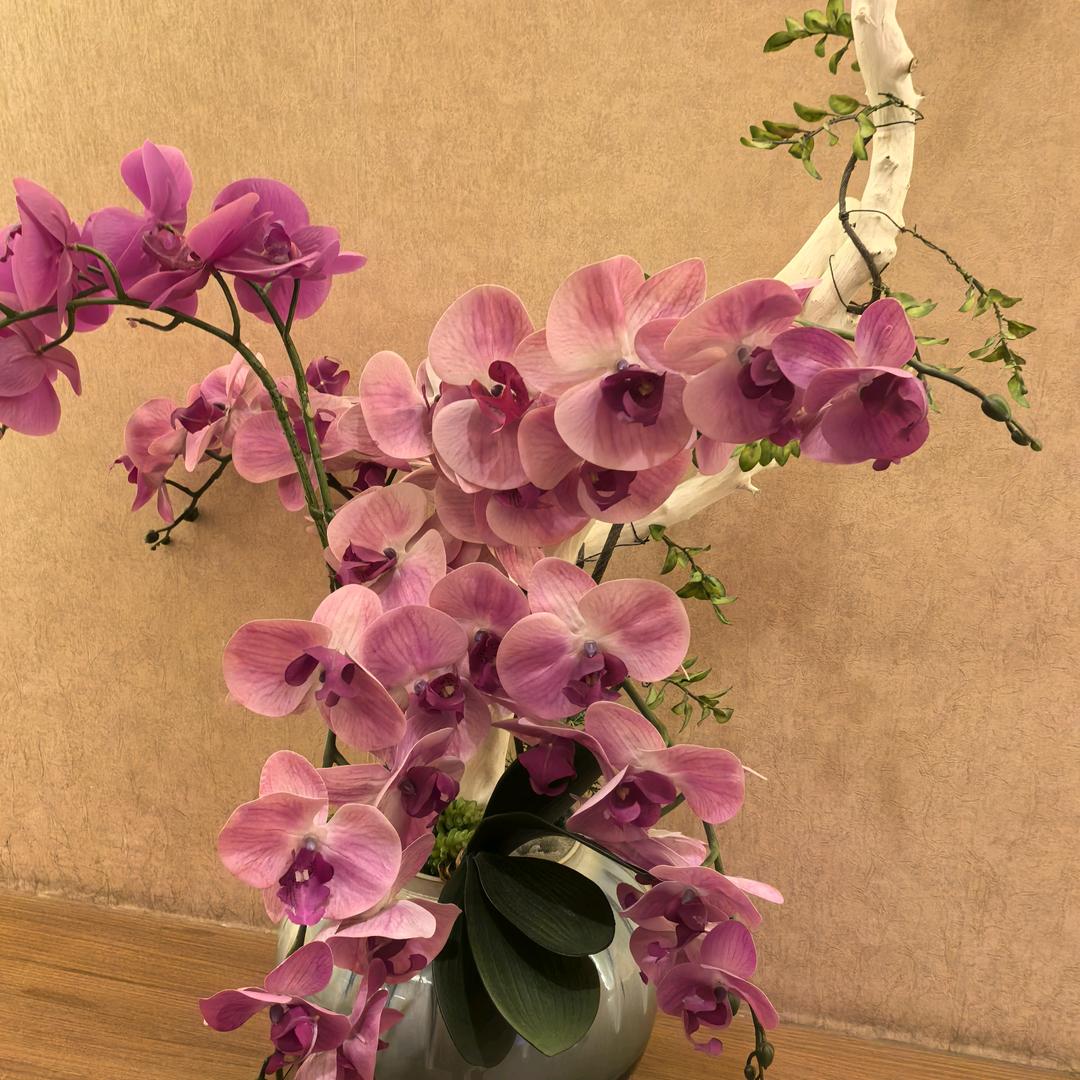 懂生活爱厨房