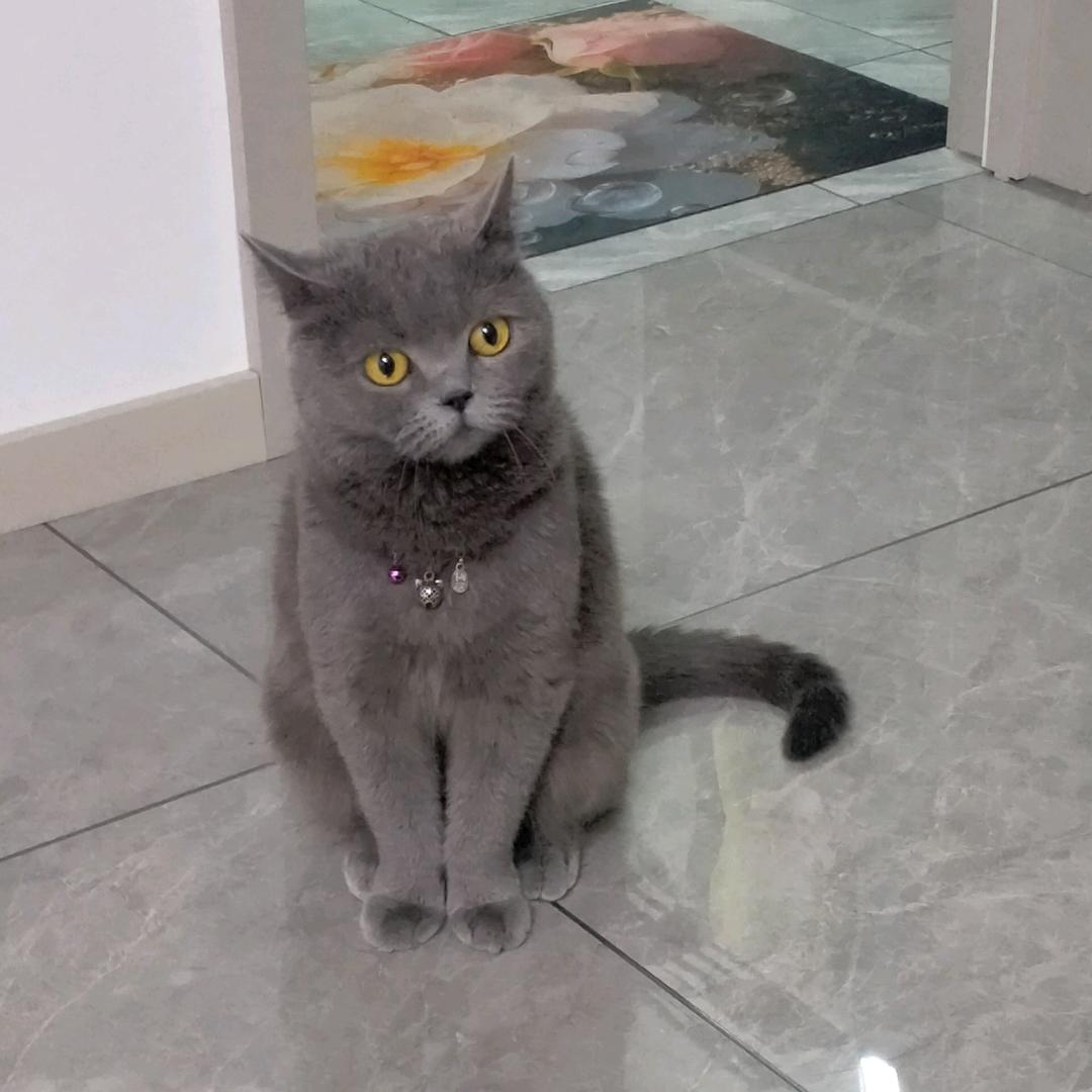 未来很好