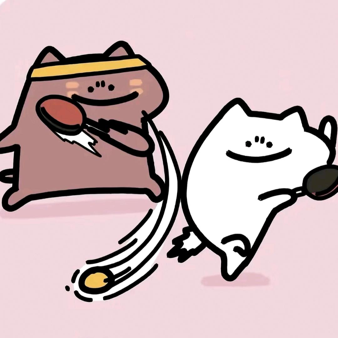 王木槿