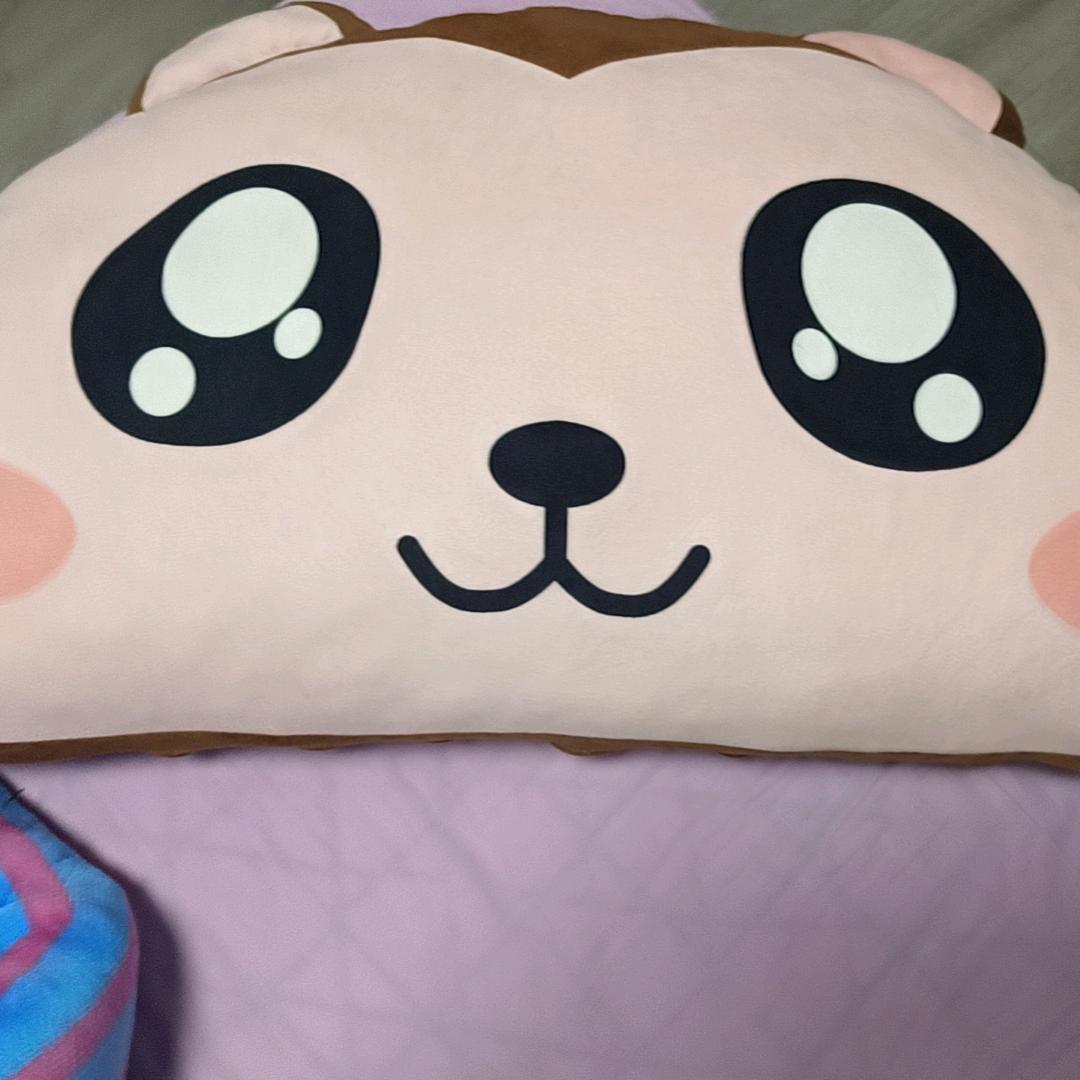 豪