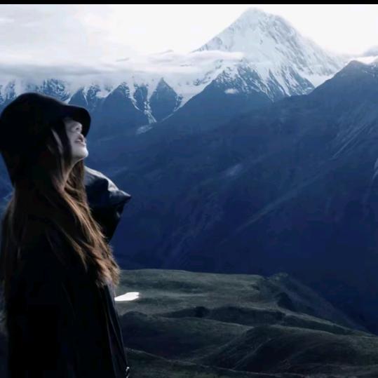 杨七