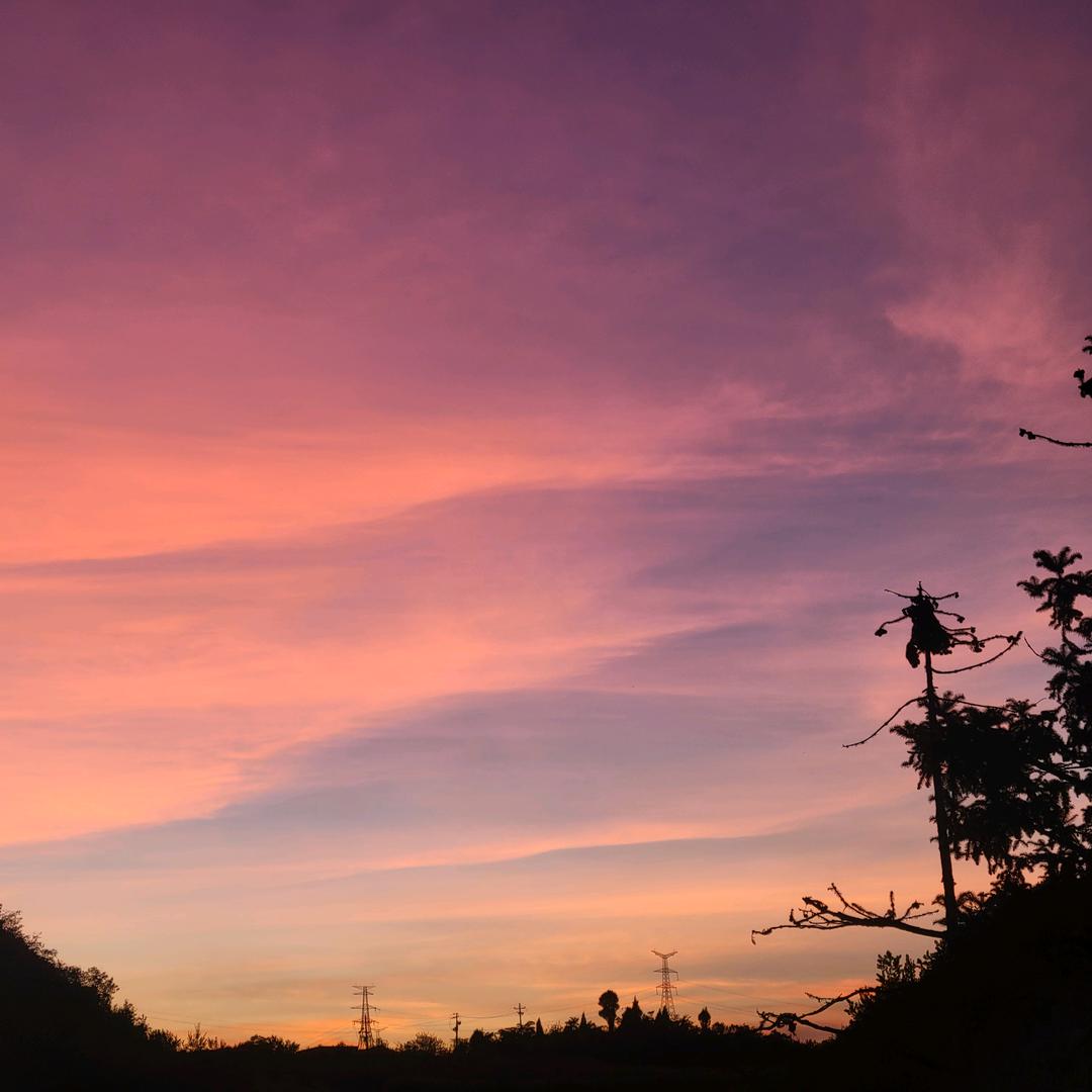 30岁单身的小女人