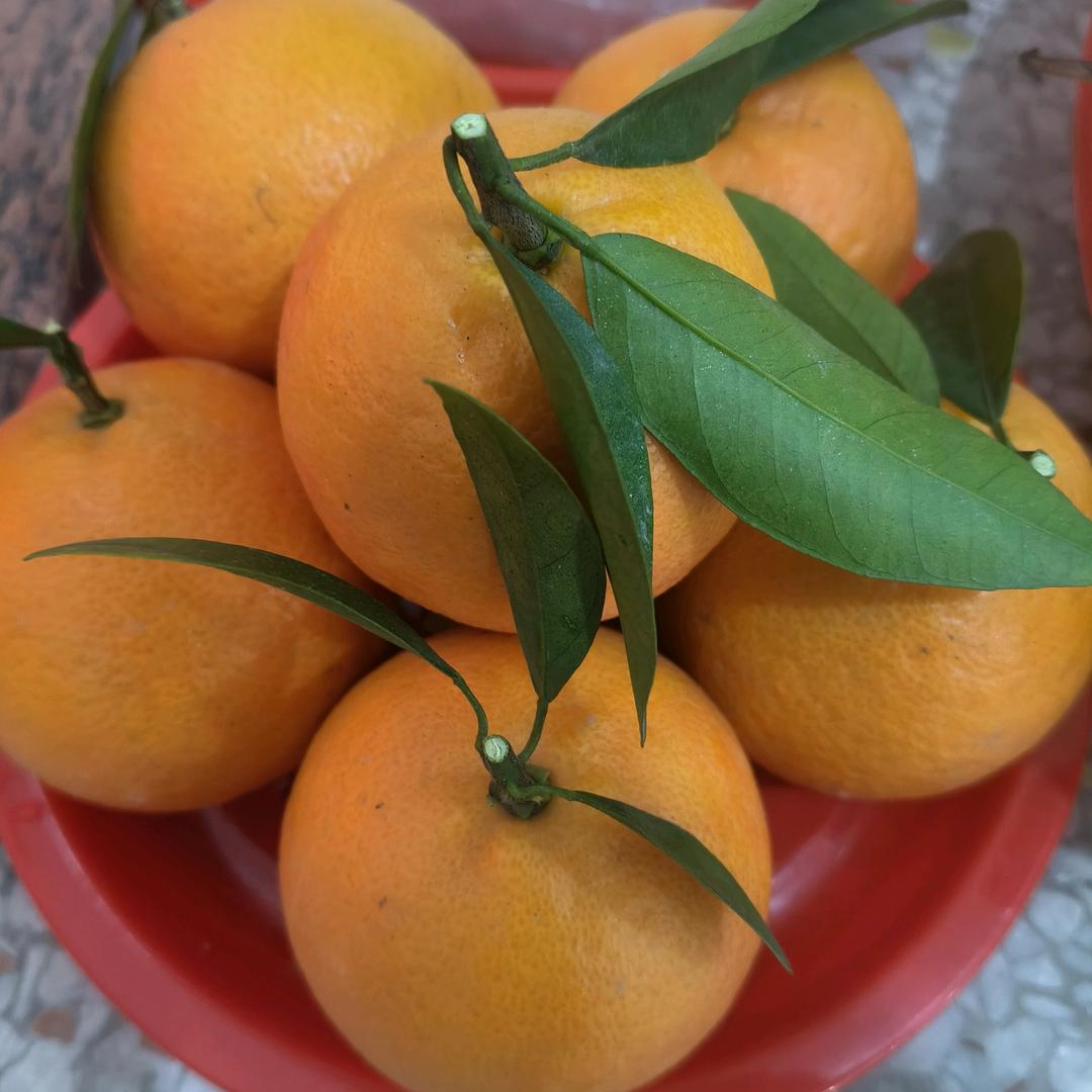 林玲服装厂(橱窗有好货)