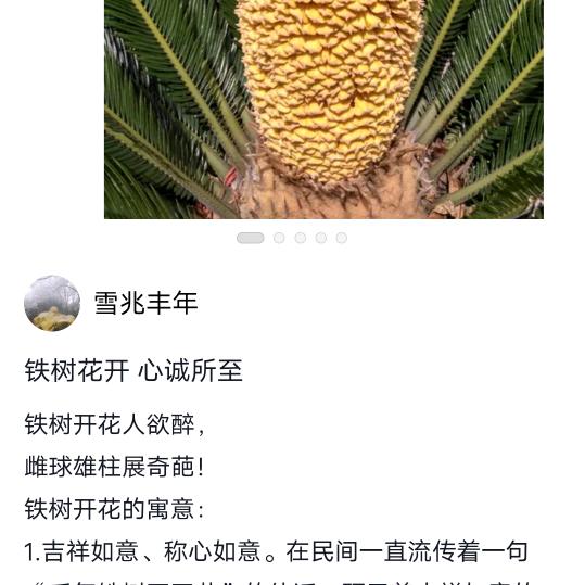 老先生