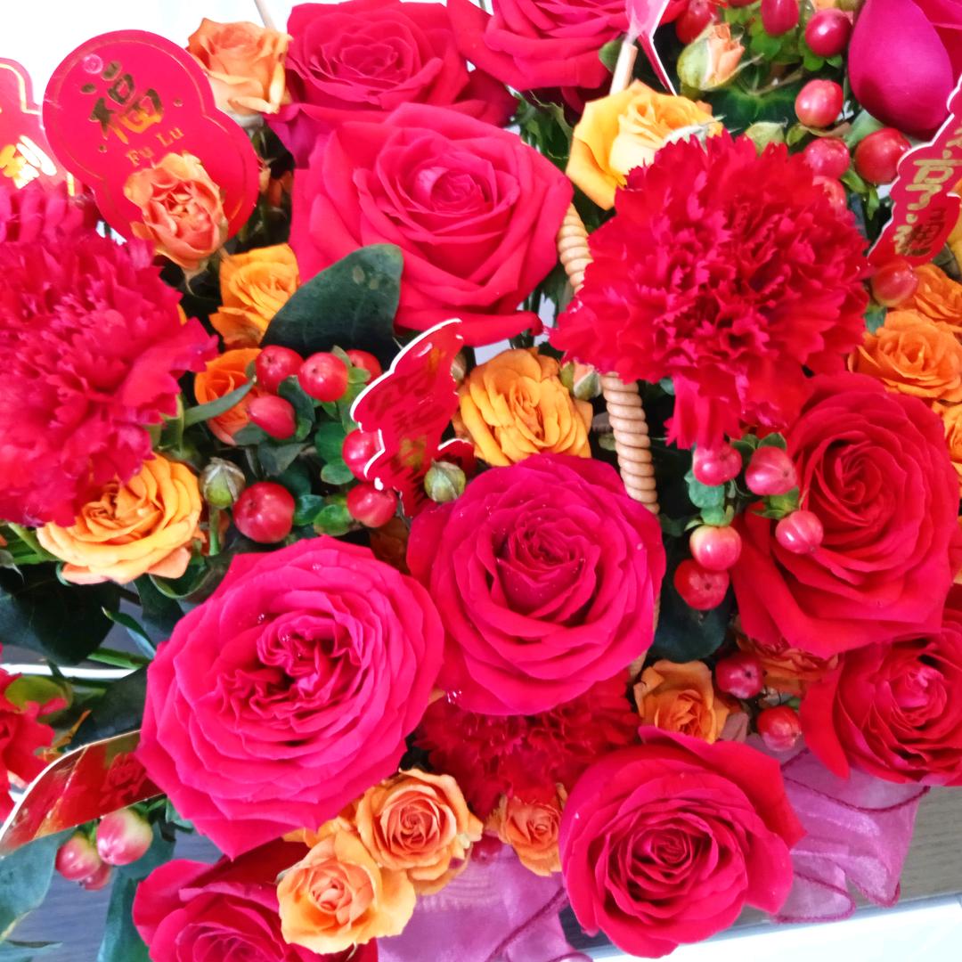 温暖🌹🌺🌹🌷🌺🌸💐🌷思念