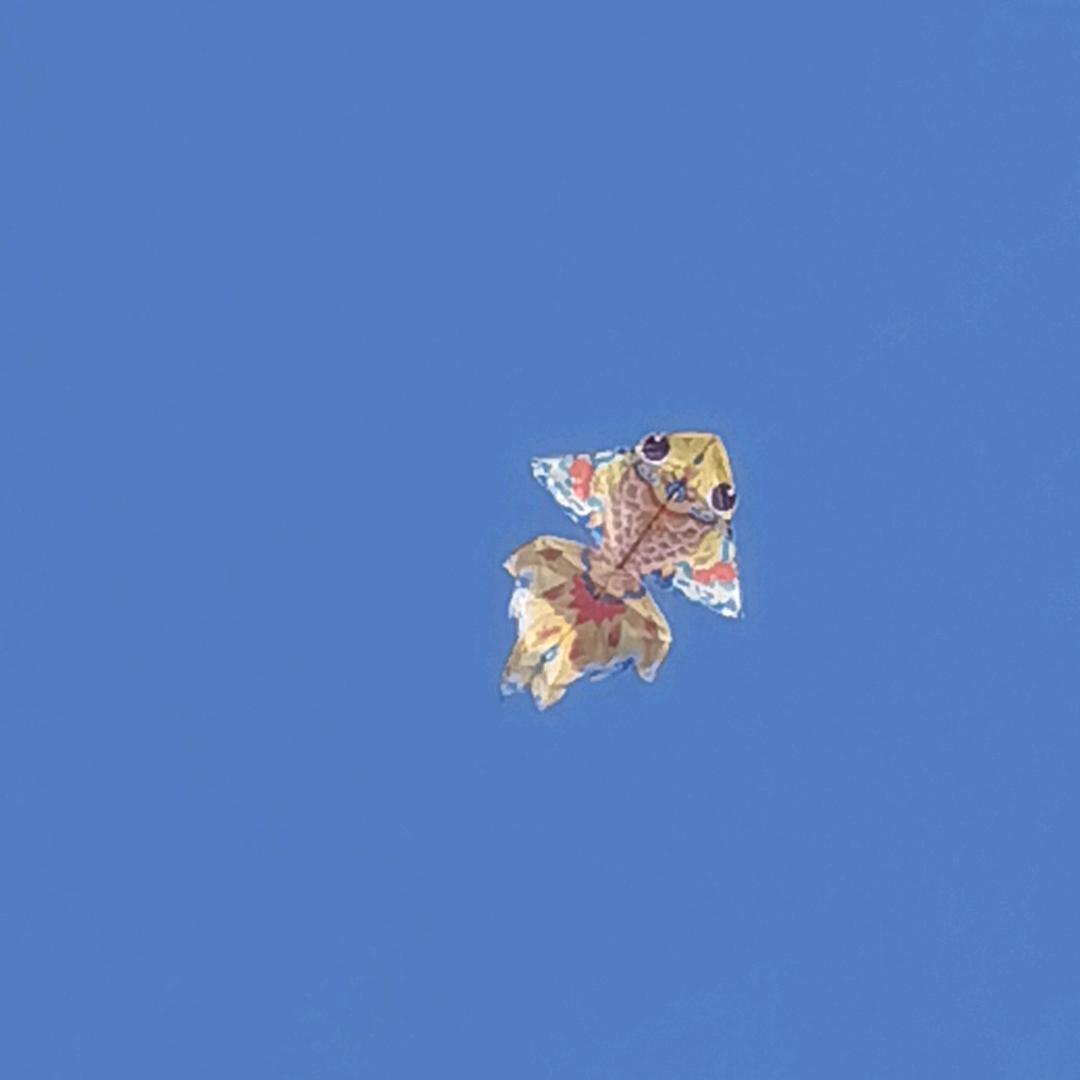 秋风意浓💫