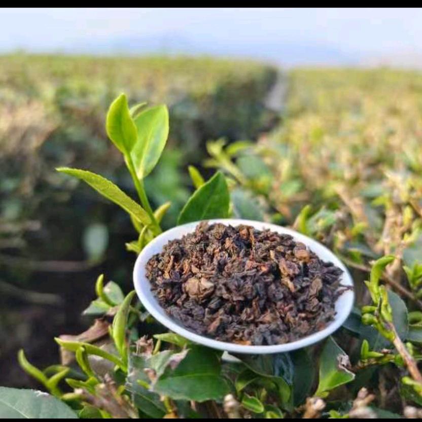 小小茶农
